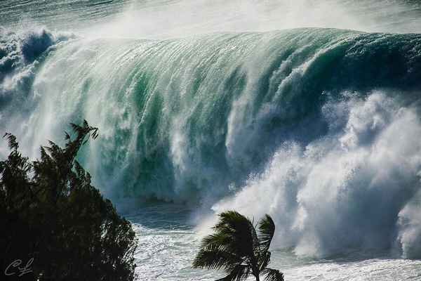 К чему снятся большие накрывающие волны, море, цунами, шторм