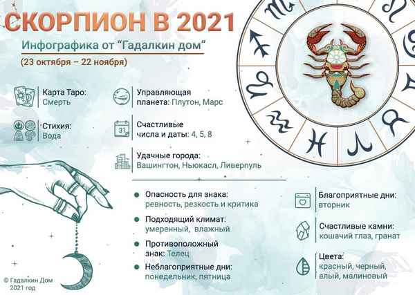 Гороскоп на 2021 Скорпион-женщина: общий и по годам рождения, бесплатно