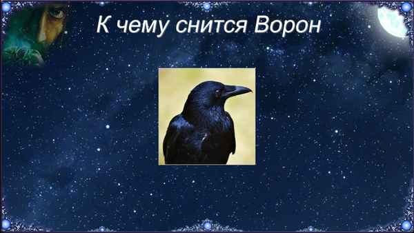 К чему снится черная ворона: полное толкование по сонникам