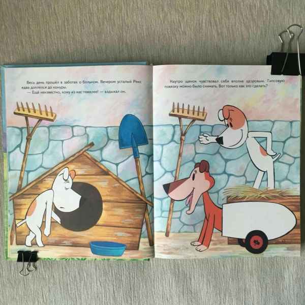   Детская книга: «Рекс и его друзья»    